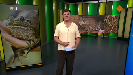 NOS Jeugdjournaal